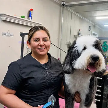 Mabeli Professional Pet Groomer at The Barrie Inn