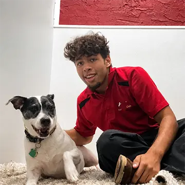 Sebastian Pet Care Team Leader at The Barrie Inn