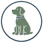 Dog Training Icon