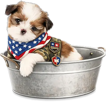 Dog wearing a patriotic scarf symbolizing We Support Our Military and First Responders at The Barrie Inn