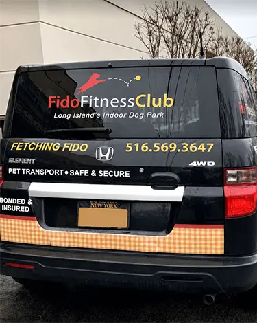 Fetching Fido - Fido Fitness Club - pickup service